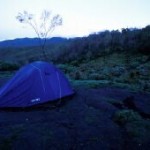 Return to Kili Home