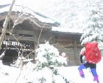 yoshida584